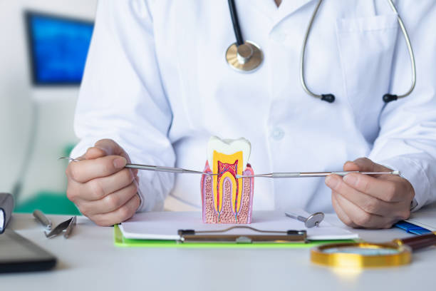 Best Emergency Dental Services for Seniors in Hurst, TX